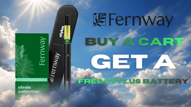 Fernway BO 510 GO Stylus